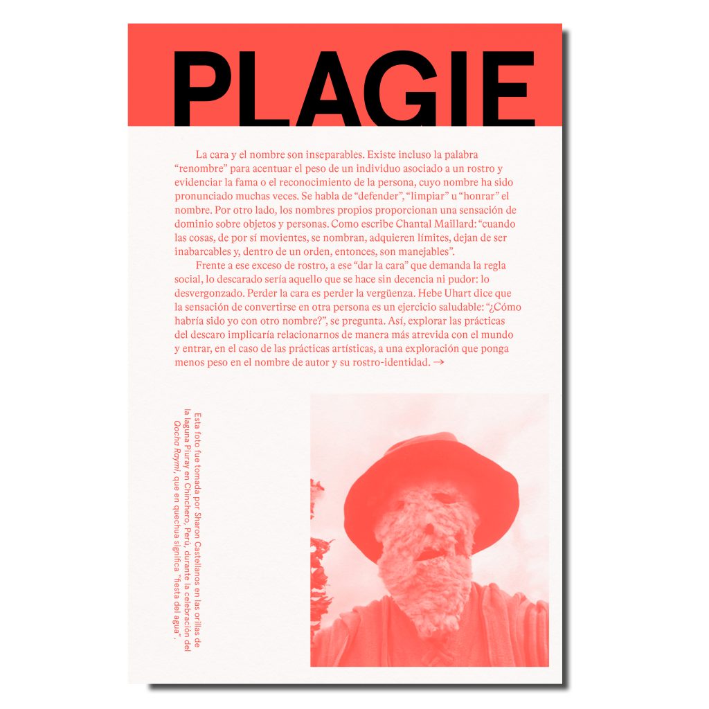 PLAGIE COPIE MANIPULE ROBE REESCRIBA ESTE LIBRO