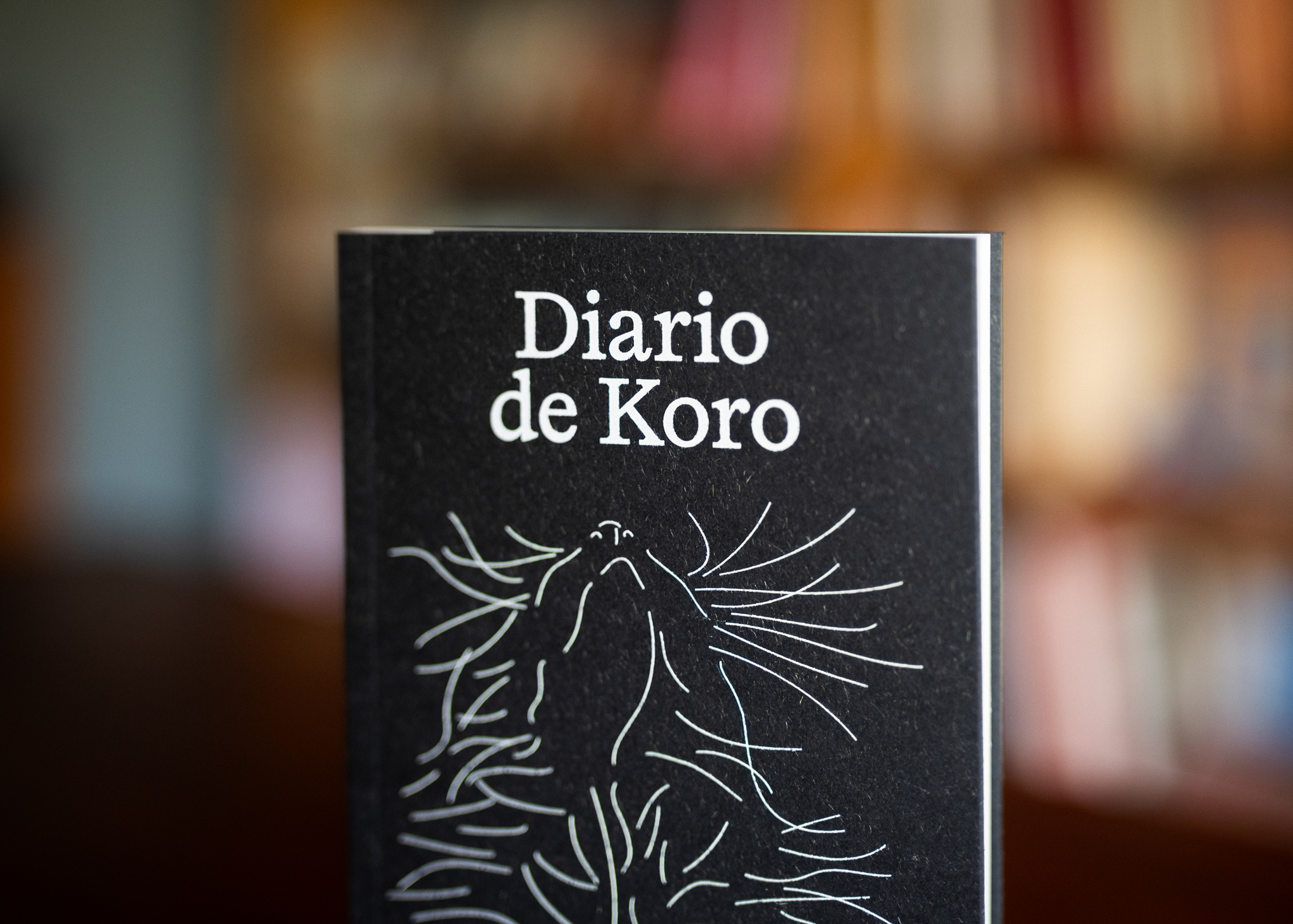 Diario de Koro - Imagen 10