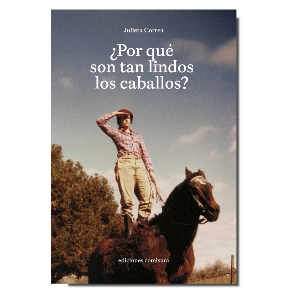 ¿Por qué son tan lindos los caballos?